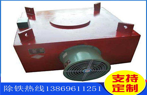 濰坊風(fēng)冷式電磁除鐵器供應(yīng) 濰坊風(fēng)冷式電磁除鐵器供應(yīng)